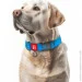 Waudog    Waterproof  QR    XXL  (25112)
