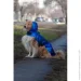 -     WAUDOG Clothes,  "NASA21",  M