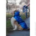 -     WAUDOG Clothes,  "NASA21",  S
