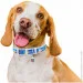     WAUDOG Design  QR ,  ""  46-59  35  (3606-0229-15)