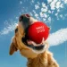    WAUDOG Fun Red Ball
