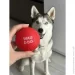    WAUDOG Fun Red Ball