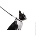 -     WAUDOG Glamour   8   122   (33771)