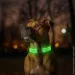      WAUDOG LED,  , 45 , 25 