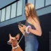 - -   WAUDOG R-leash  XS-M  40  29     (81277)