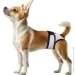       WAUDOG Vet   XL  (678511)