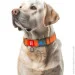     WAUDOG Waterproof c QR ,  , ,  XXL, 46-70  40  (25114)