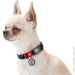 Waudog   " "   XL 25  37-58 