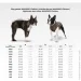 Курточка Waudog Куртка светоотражающая XS25 В 37-40 см С 24-27 см Курточка Waudog Куртка светоотражающая XS25 В 37-40 см С 24-27 см
