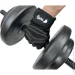    WCG   ( )   Plus (W-094)
