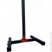        WCG RG-300
