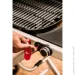   Weber   Traveler 9010075