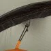  Wechsel Aurora 1 TL Laurel Oak (231065)