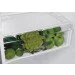  Whirlpool W5 911E OX