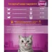   Whiskas     800 