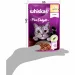   Whiskas Ammp    28x85 (5900951303340)