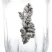 White Cristal   Tulipano 38  38  