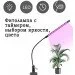   WI  led   -Grain  . 