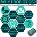 Специальная добавка Wild Fuel Пребиотики и пробиотики Dental Probiotic 45 таблеток Специальная добавка Wild Fuel Пребиотики и пробиотики Dental Probiotic 45 таблеток
