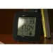 Wild Wind   WHTI-203 BL