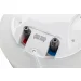  Willer EV100DR Optima