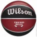  ' Wilson NBA TEAM Tribute chi bulls size 7 (WTB1300XBCHI)