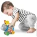 - Winfun    0768-NL