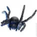    Wing Crown      T33706
