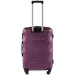  Wings 147  75  - (Wp00294)
