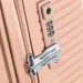 Wings   181-05  55   (Wp00529)
