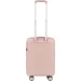 Wings   181-05  55  - (Wp00535)