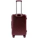 Wings   WN01   (Wp00297)