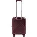Wings   WN01   (Wp00298)