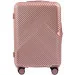  Wings WN01  60  - (Wp00301)