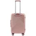  Wings WN01  60  - (Wp00301)