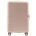 Wings   WN01   (Wp00324)
