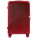 Wings WN01  88  - (Wp00479)