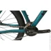  Winner 29" SOLID-GT L  () (25-314)