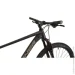  Winner 29" SOLID-GT L  (25-315)