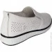    Wollen .36  (089337-36)