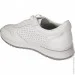    Wollen .36  (089347-36)