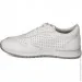    Wollen .37  (089347-37)