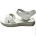    Wollen .40  (060176-40)