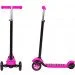  Worker Jaunsee Pink 31      (16871-2)