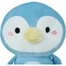   Wp Merchandise    22  (FWPEPICPNGN22BL00)