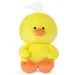   Wp Merchandise    25  (FWPDKRICHARD23YL0)
