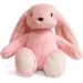   Wp Merchandise   - 30  (FWPBUNNY22LGPINK0)
