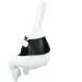   Wp Merchandise    47  (FWPBUNALENDR24WT0)