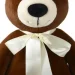  Wp Merchandise    49  (FWPBEARBARRY23BN0)
