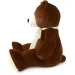   Wp Merchandise    49  (FWPBEARBARRY23BN0)